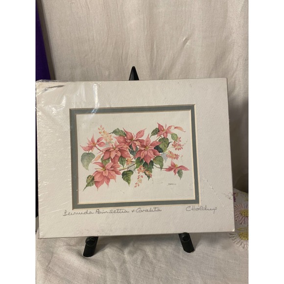 Signed Watercolor Print “Bermuda Poinsettia and Coralita” by Carole Holding - Picture 2 of 12